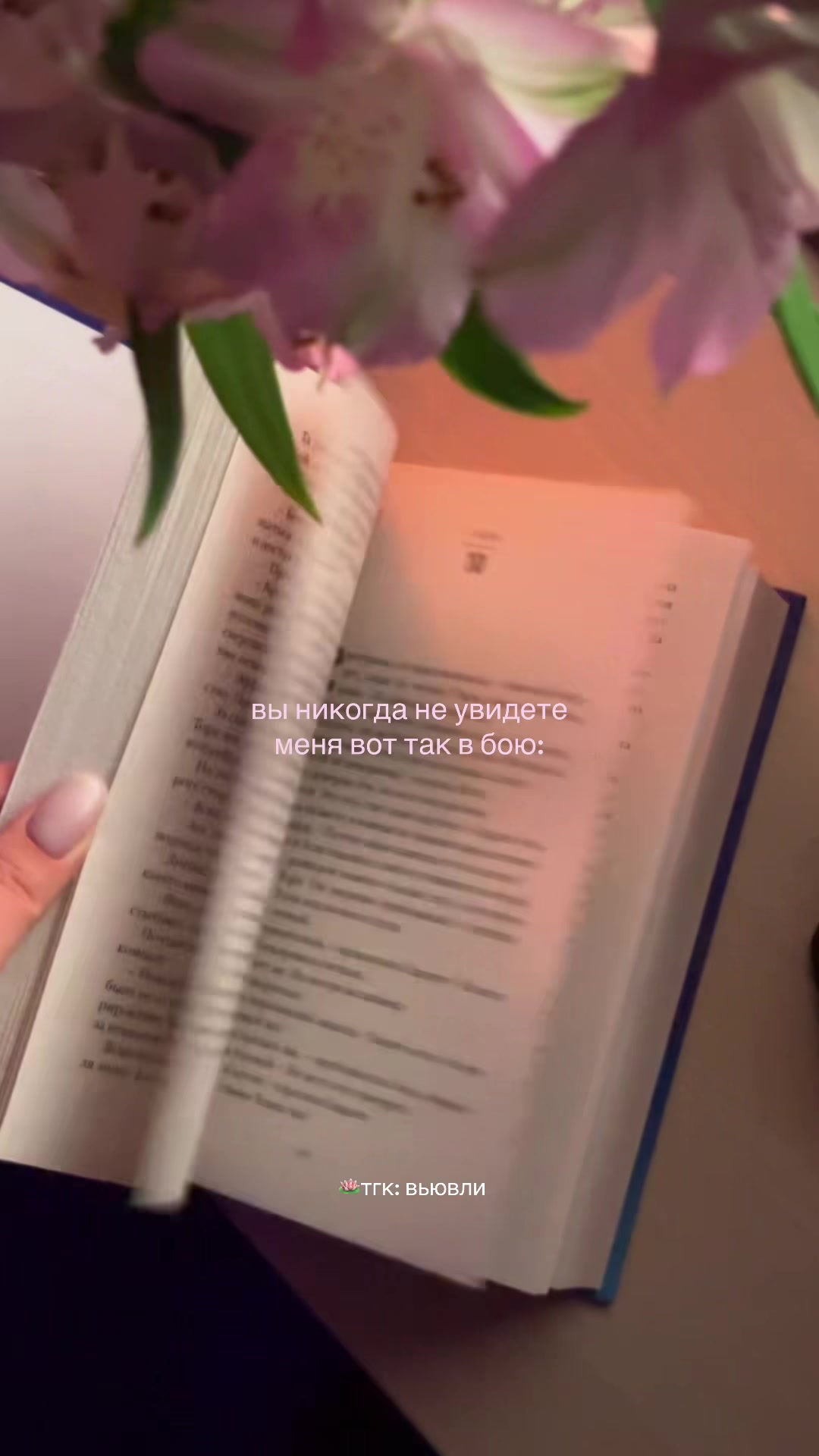 @настя 🫶🏻 тгк: вьювли