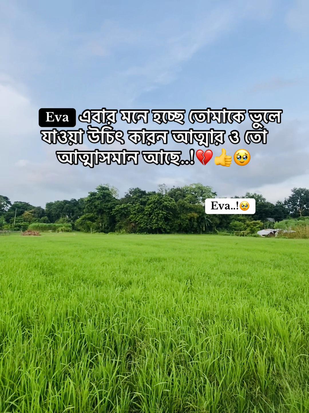 @Ashik