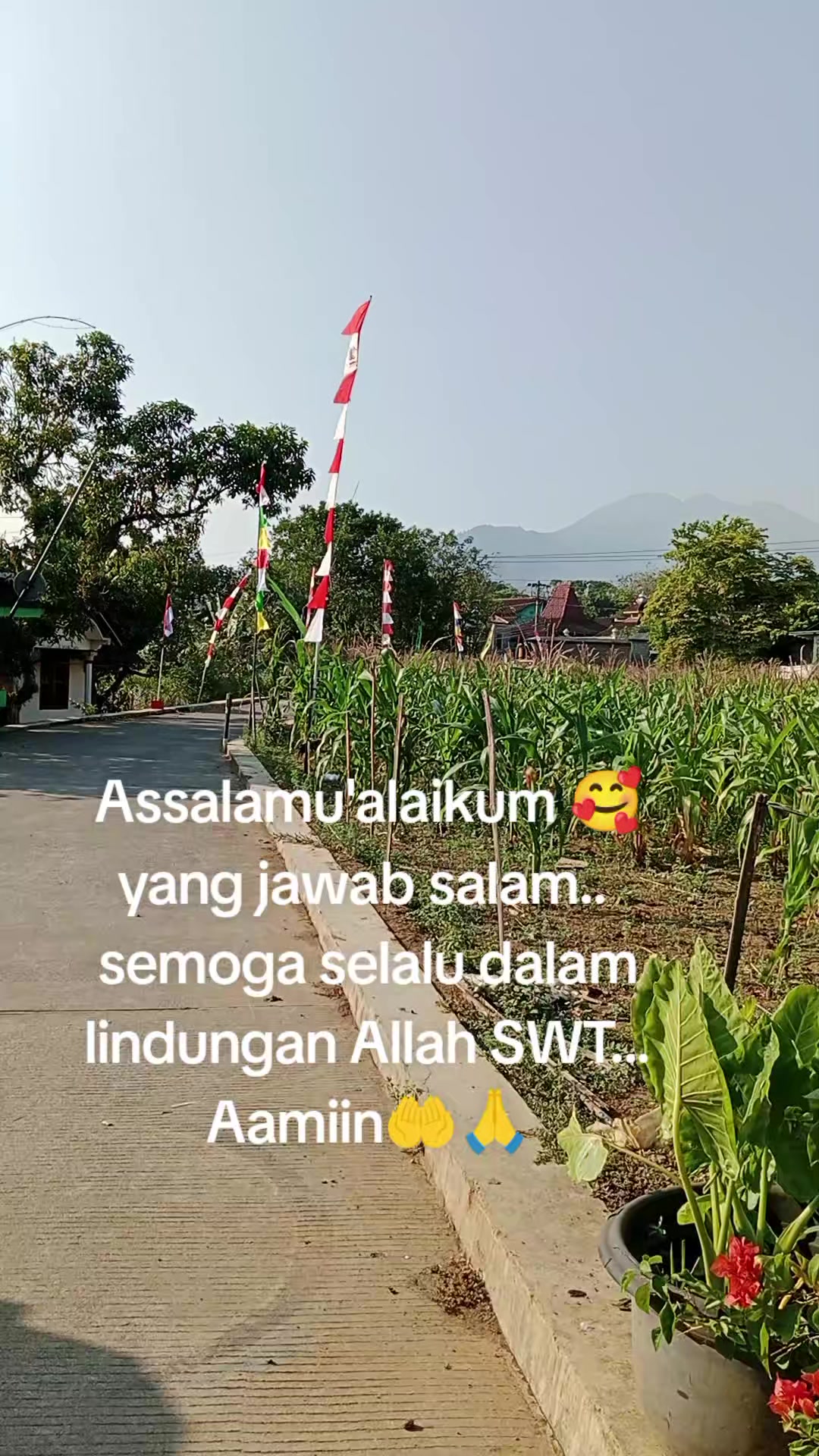 @🧡💙ERMAWATI 🧡💙