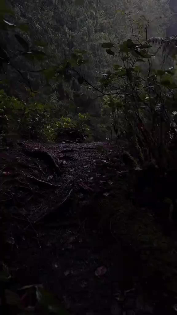 @🌗
