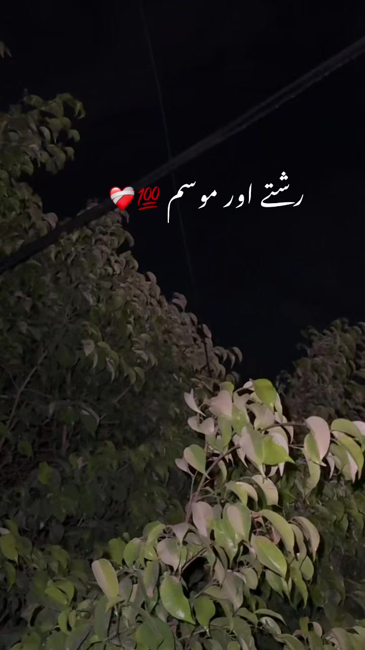 @بختاور کاشف ❤️