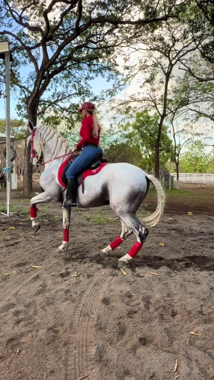 @Cindy Álvarez