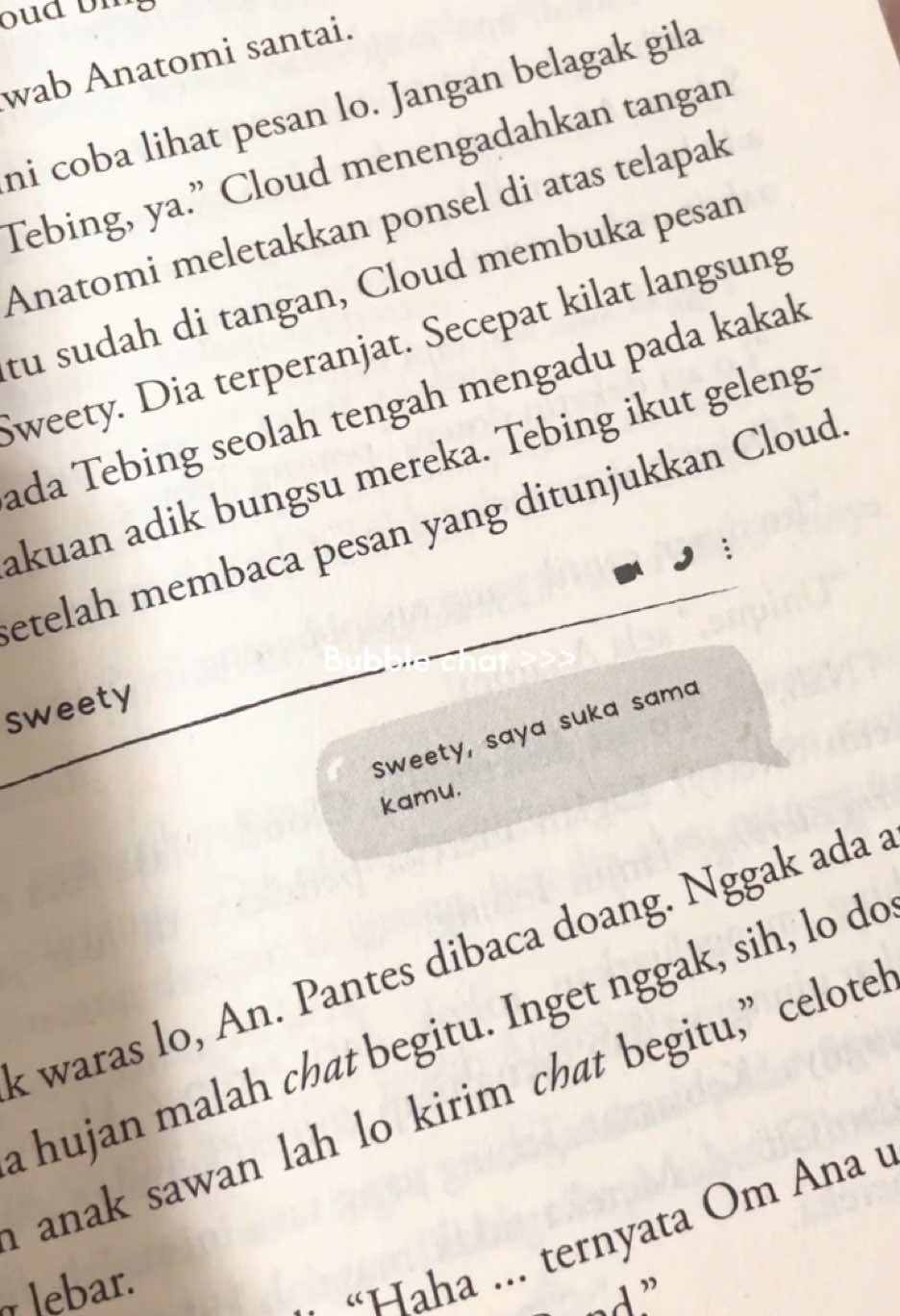 @triaa