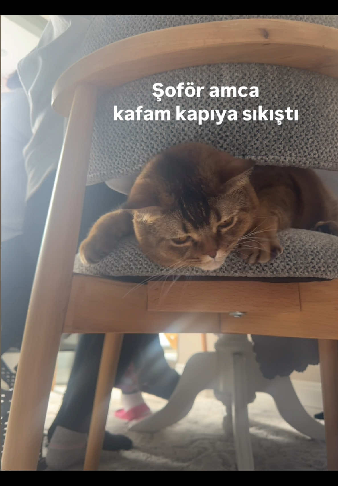 @drtarko