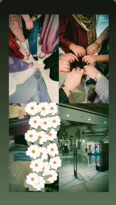 @Colours In Bloom 🌈