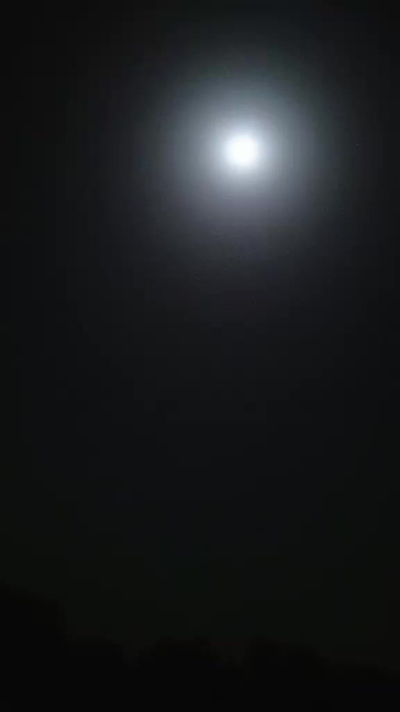 @رائے نعیم یاسین کھرل