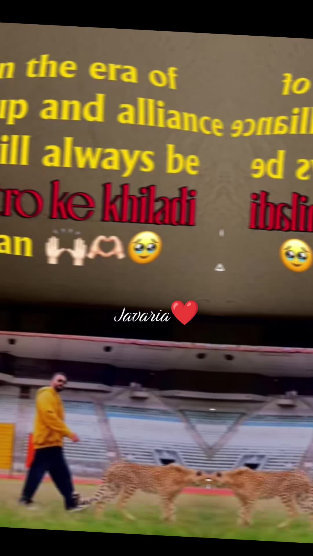 @Dr. Javaria