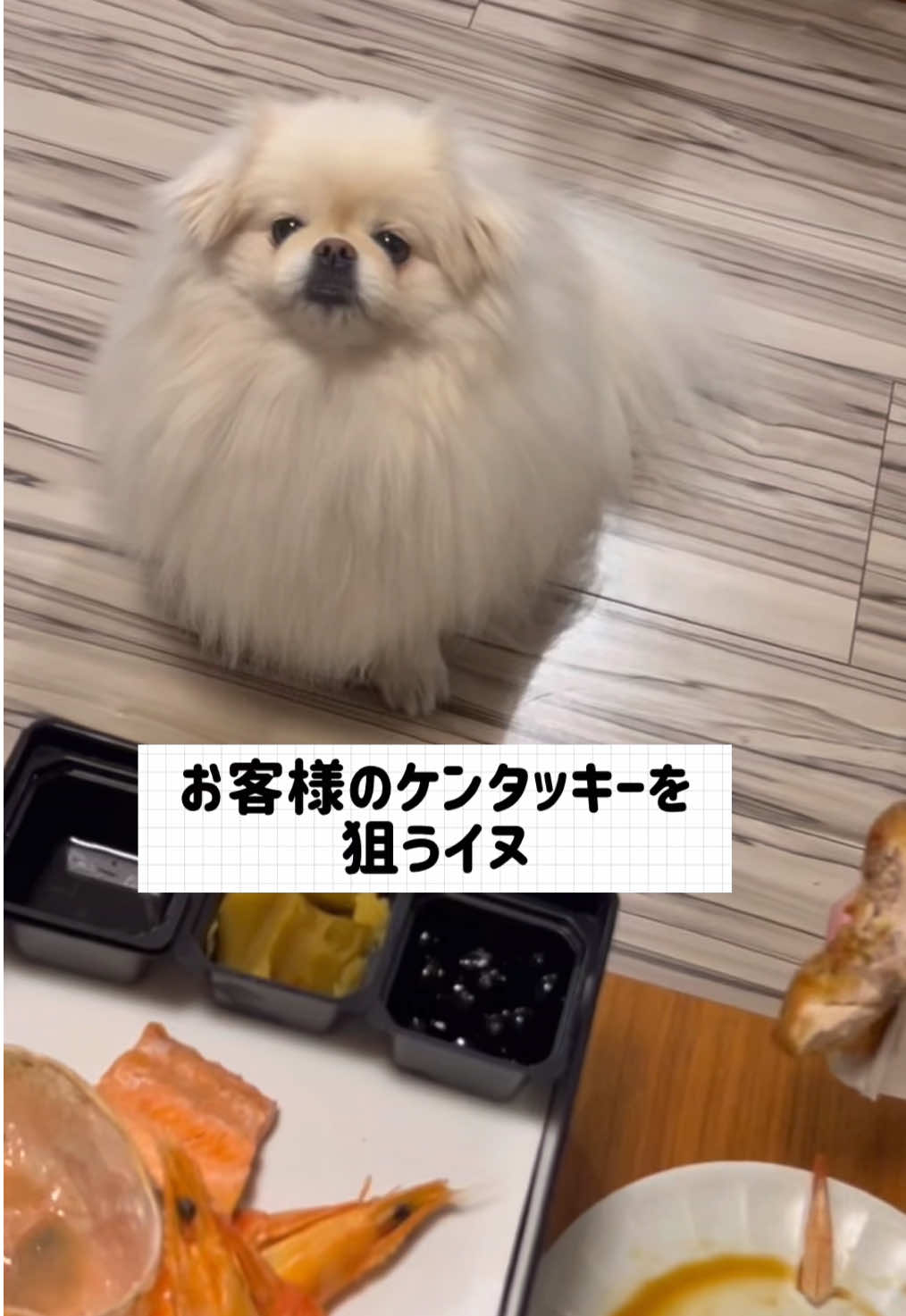 @なんこつ