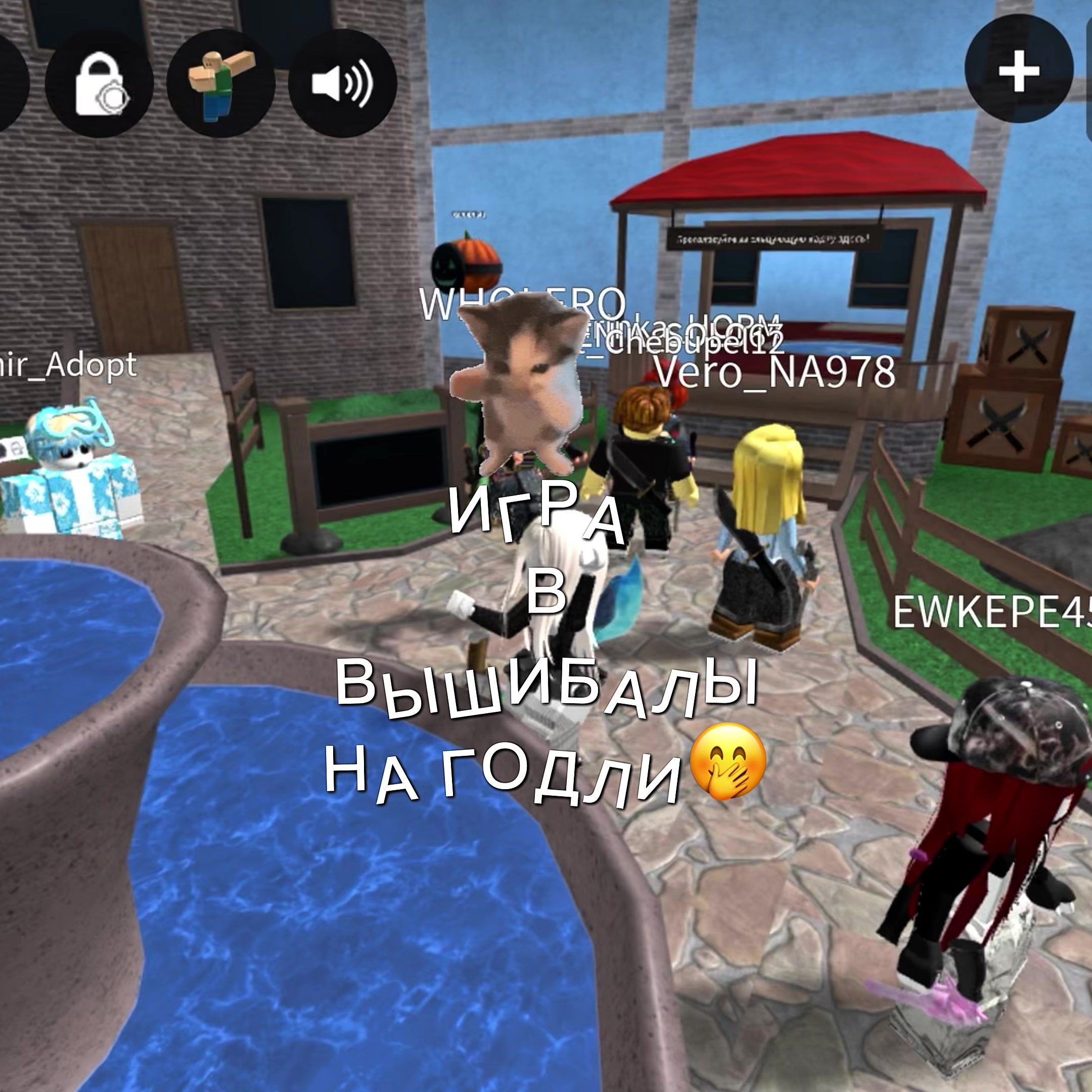 @rodnaya52