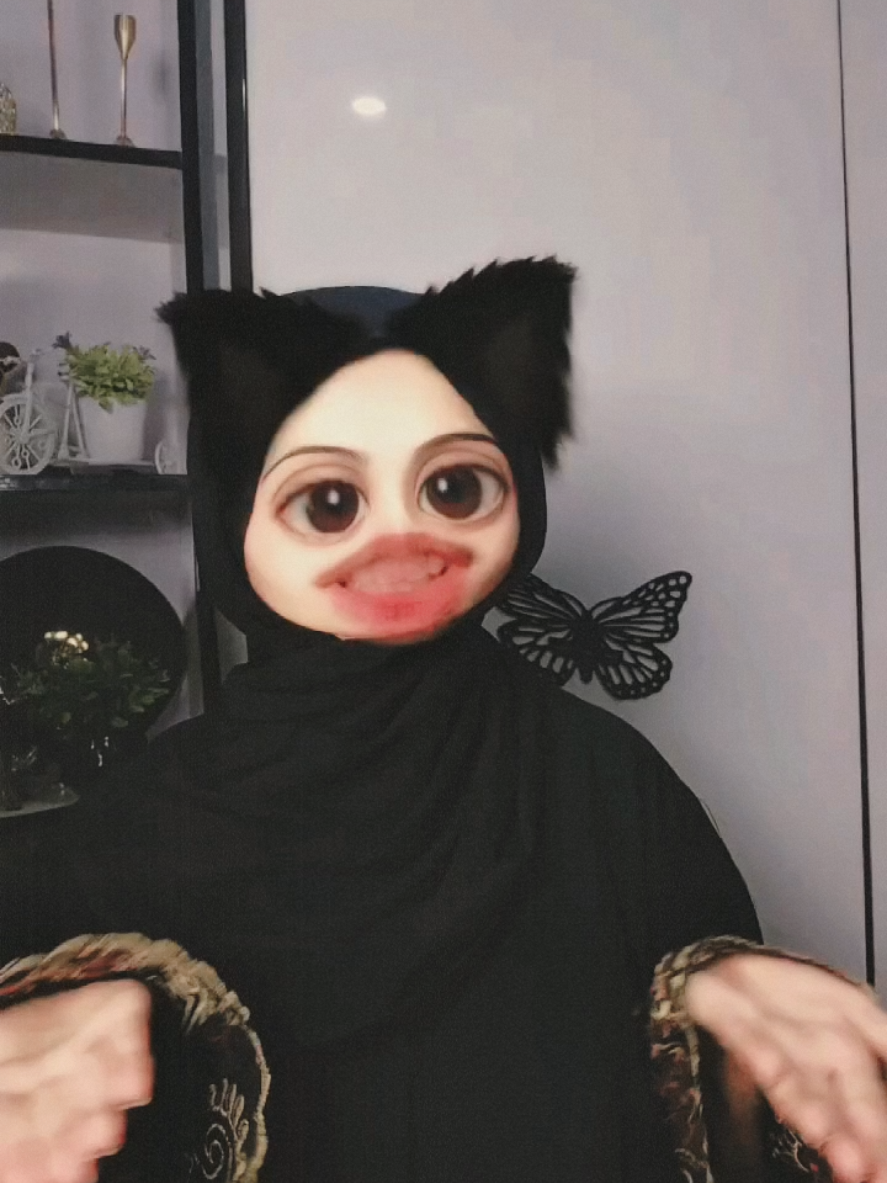 @๐๐ถ๐๐พ๐๐ถ๐ฆข