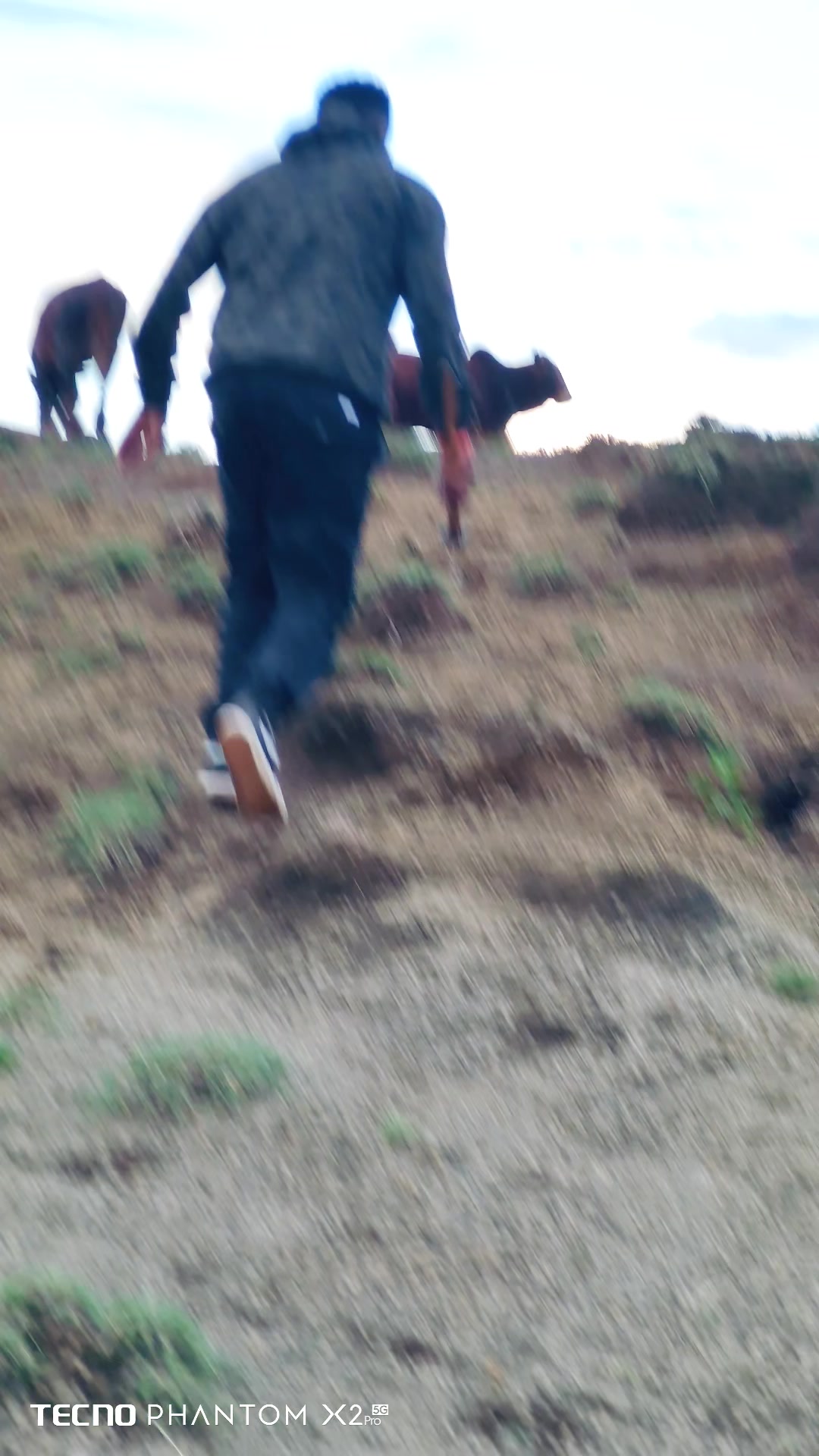 @Sirrooney The Farmer