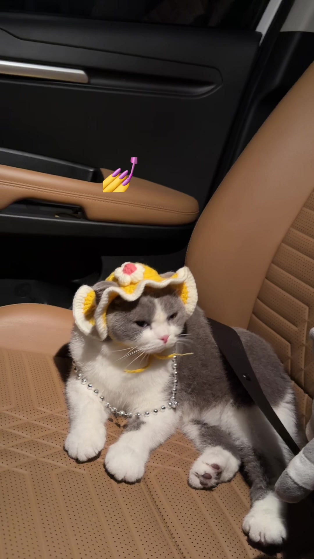 @Jinjin&mimi