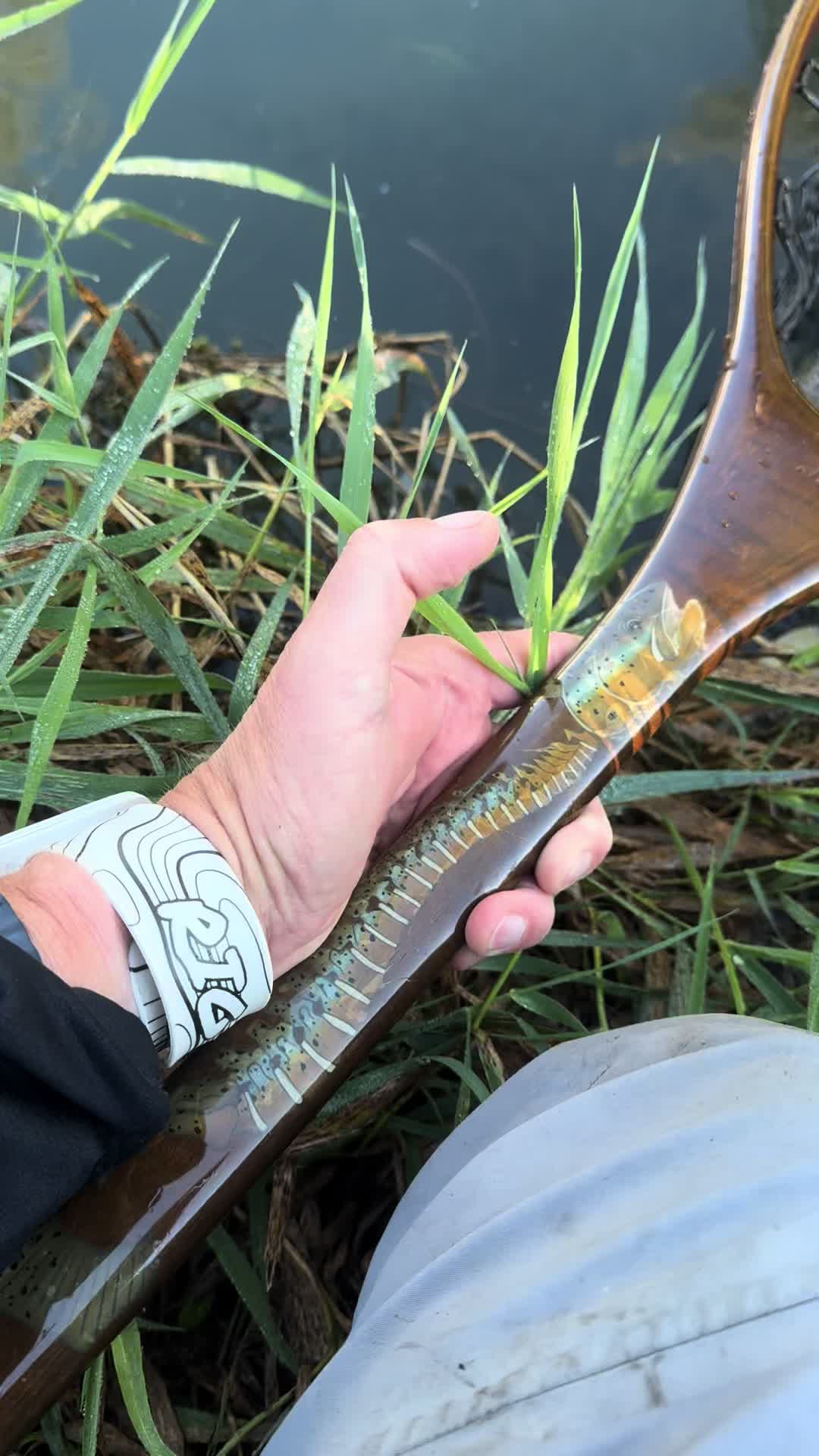 @FlyFishDelawhere