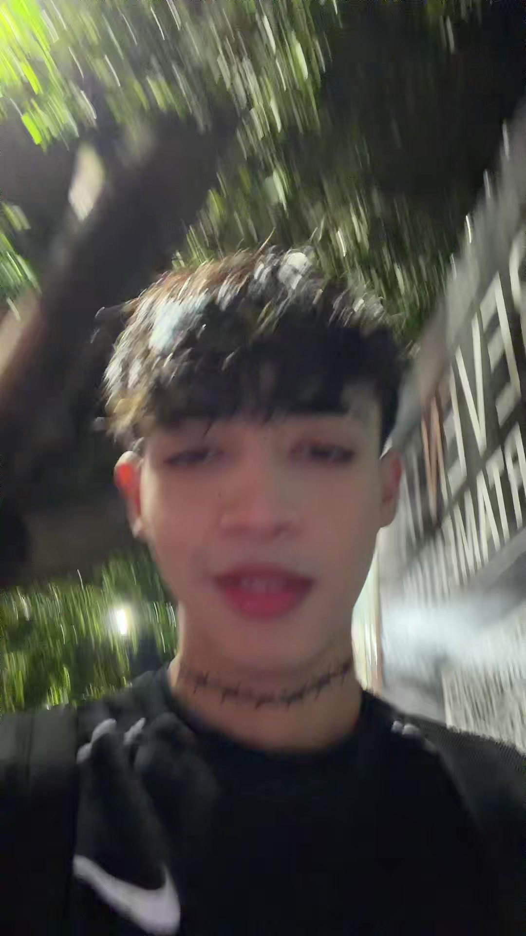 @damir🕷️