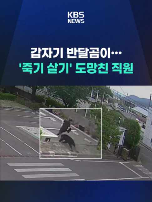 @KBSNEWS