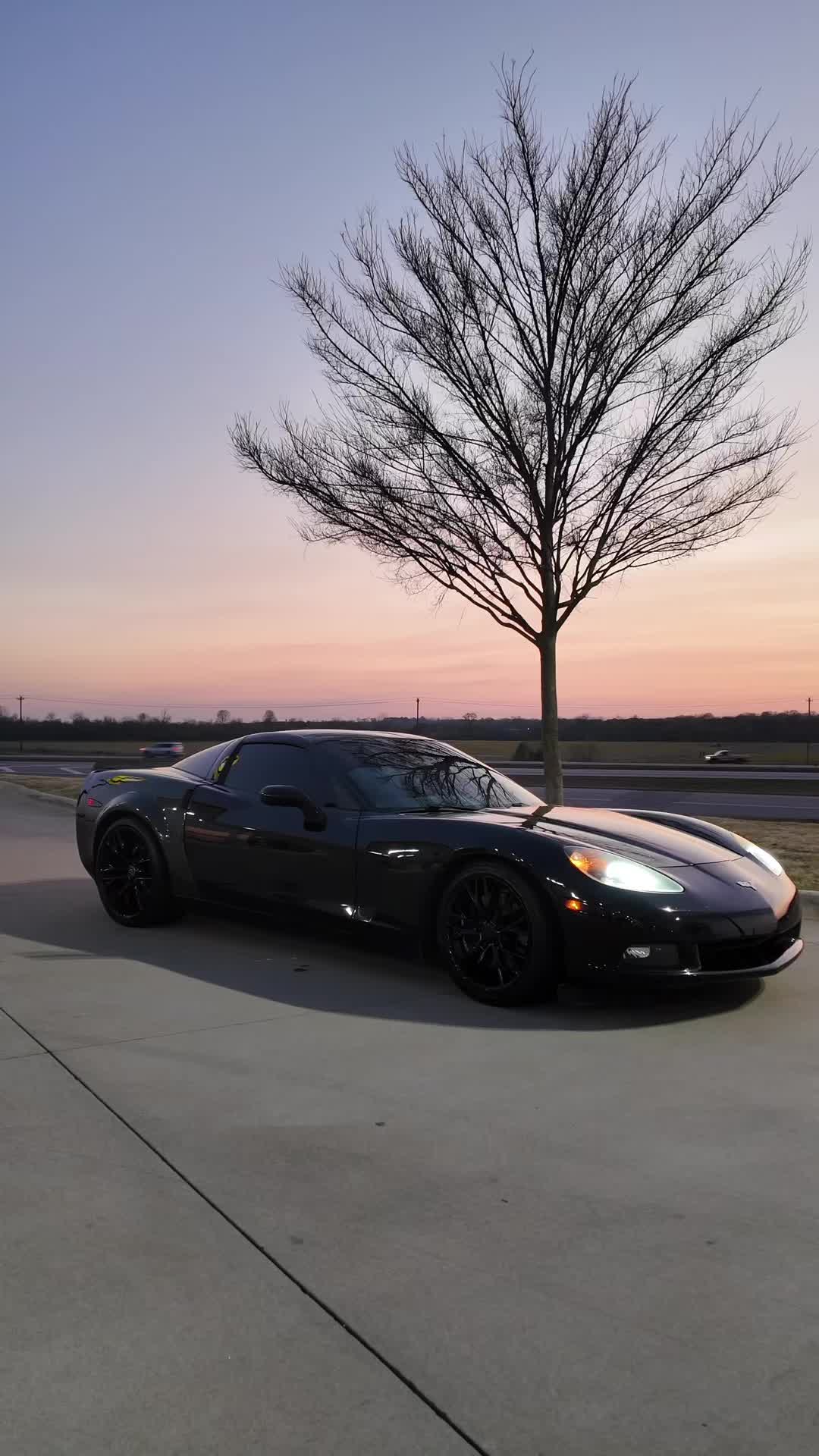 @bray_c6
