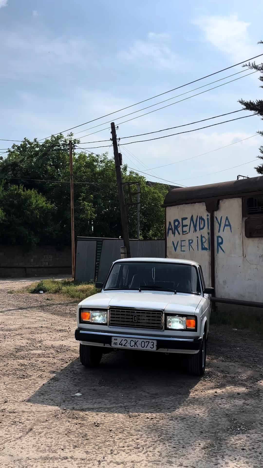 @masallı_aparatura_royal