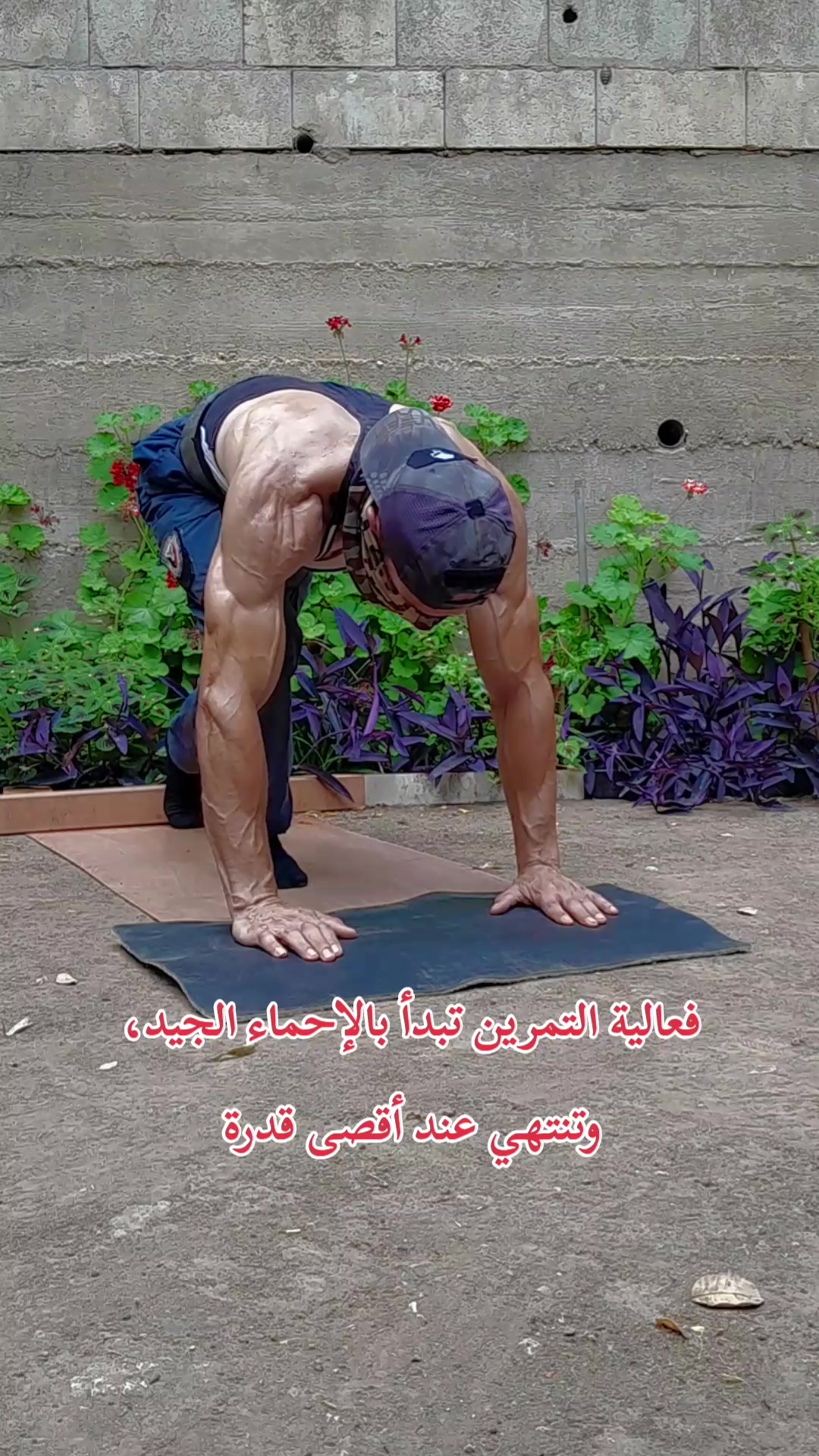 @عمرmerlaya2