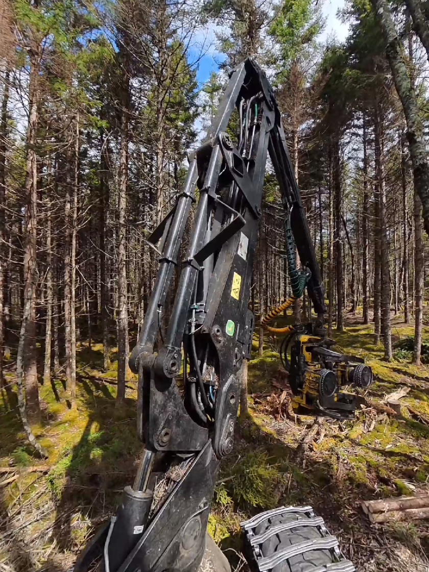 @Nova Scotia Logger