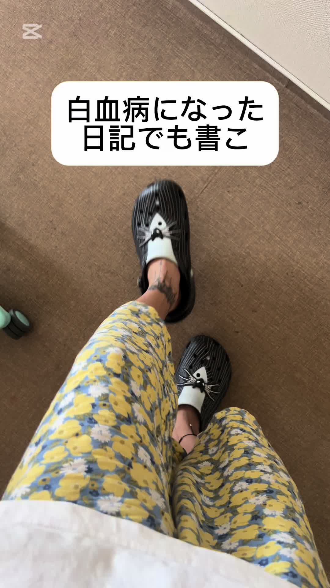 @ダルメシアンの人