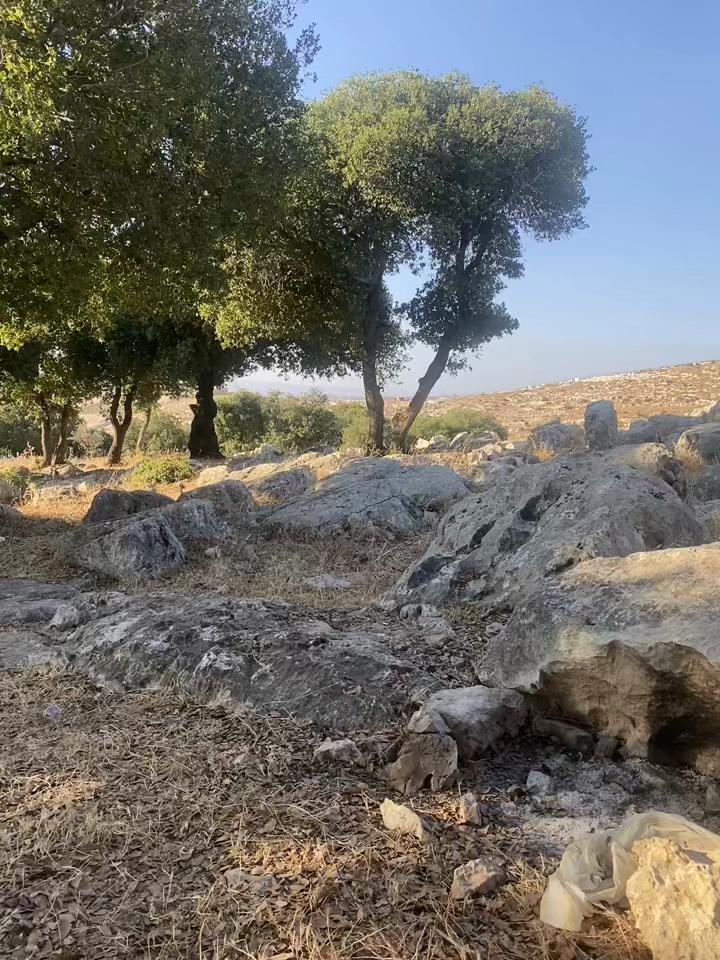 @🦅الہٰربٰٰداويٰ الہٰمزيٰون❤️🦅