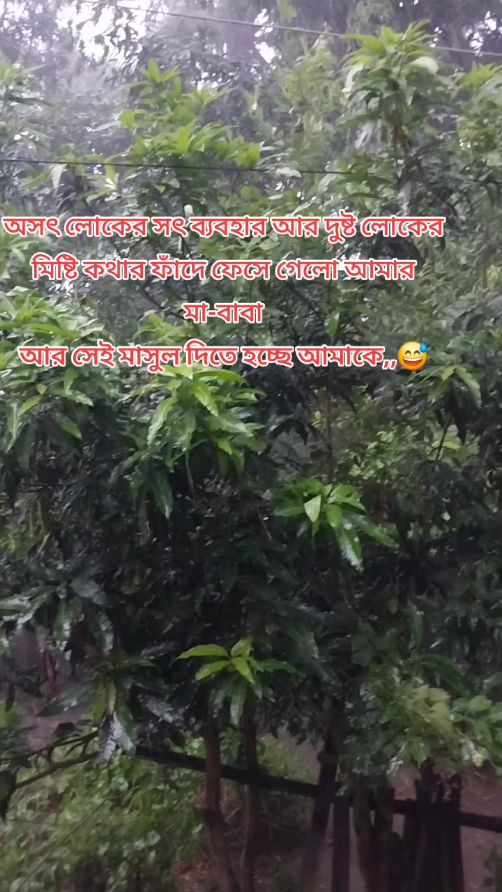 @Sanzida Nahar