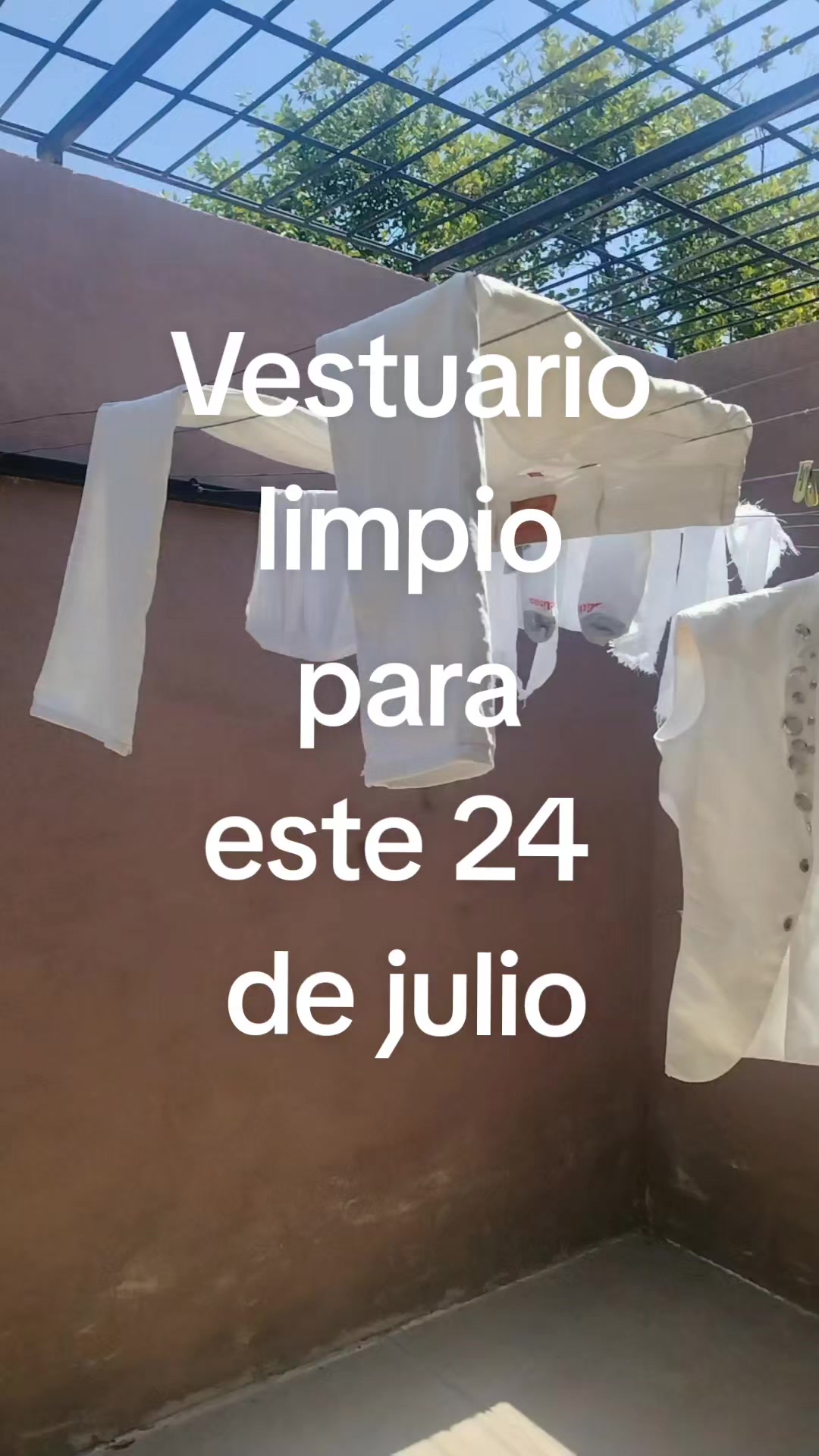 @el patrón de Sonora