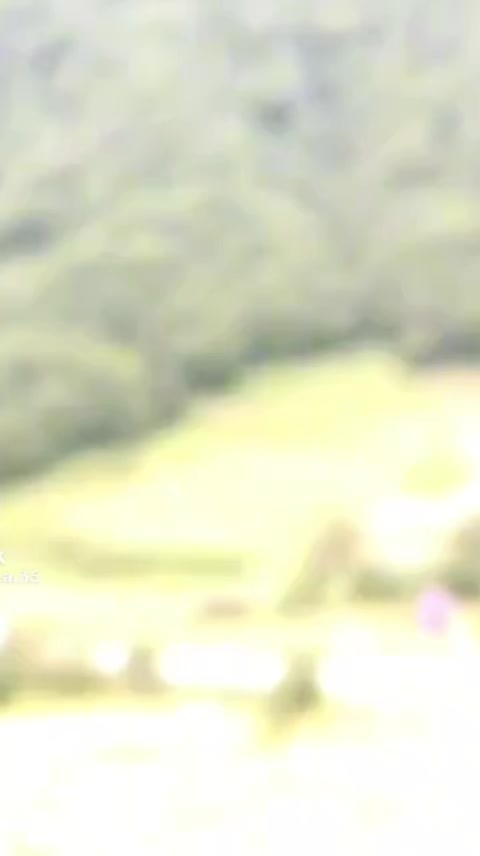 @aylin_20_