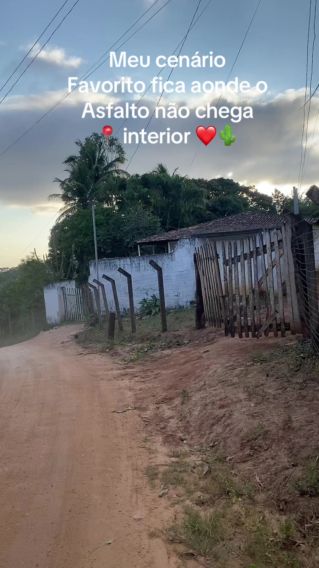 @Fabiana Feitosa