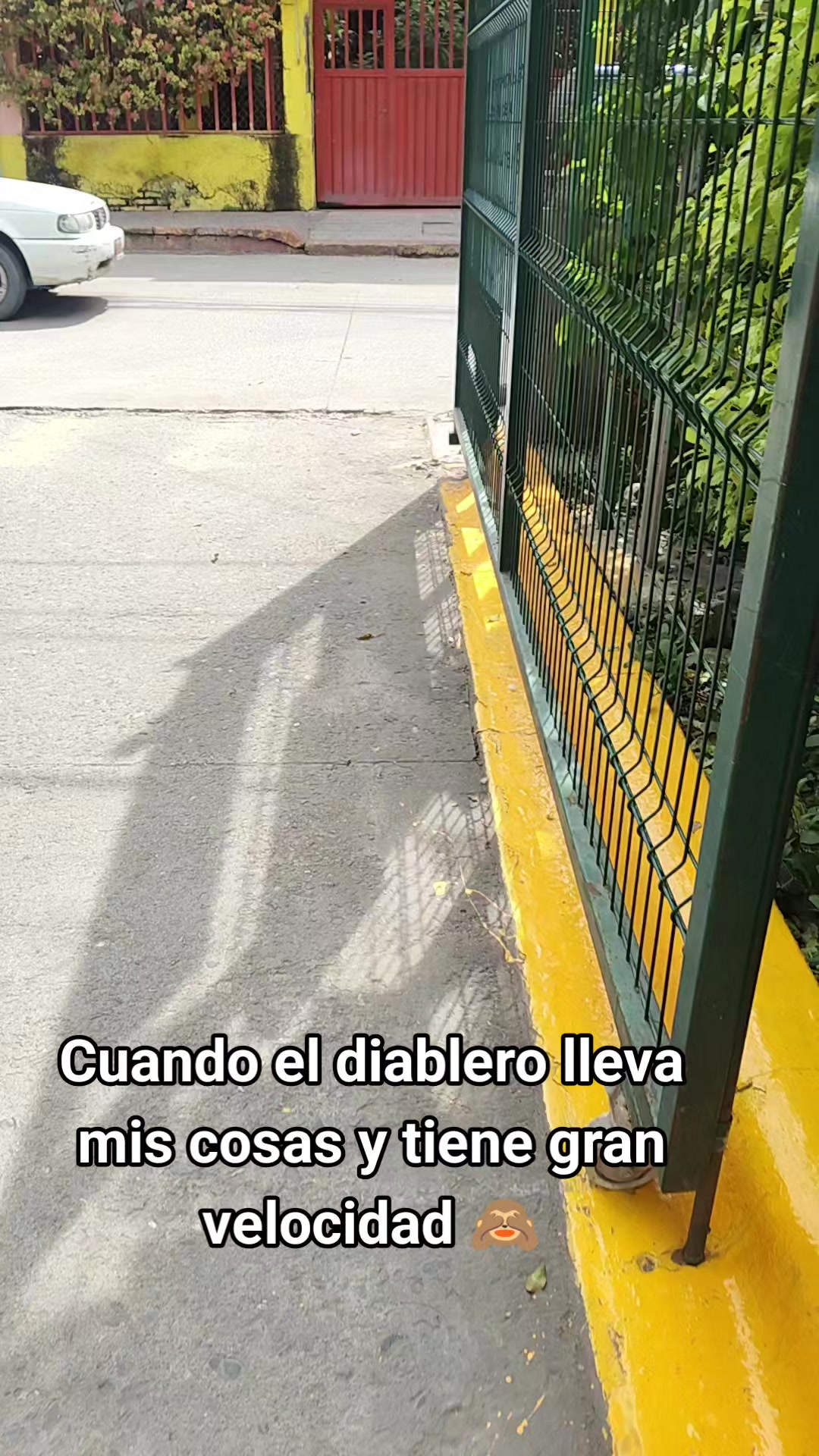 @Yessi Moon