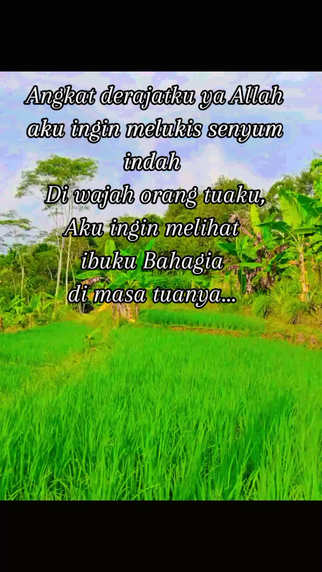 @Ipunk