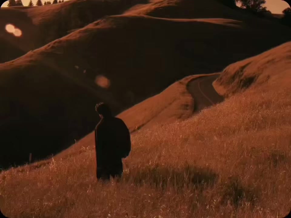 @✹
