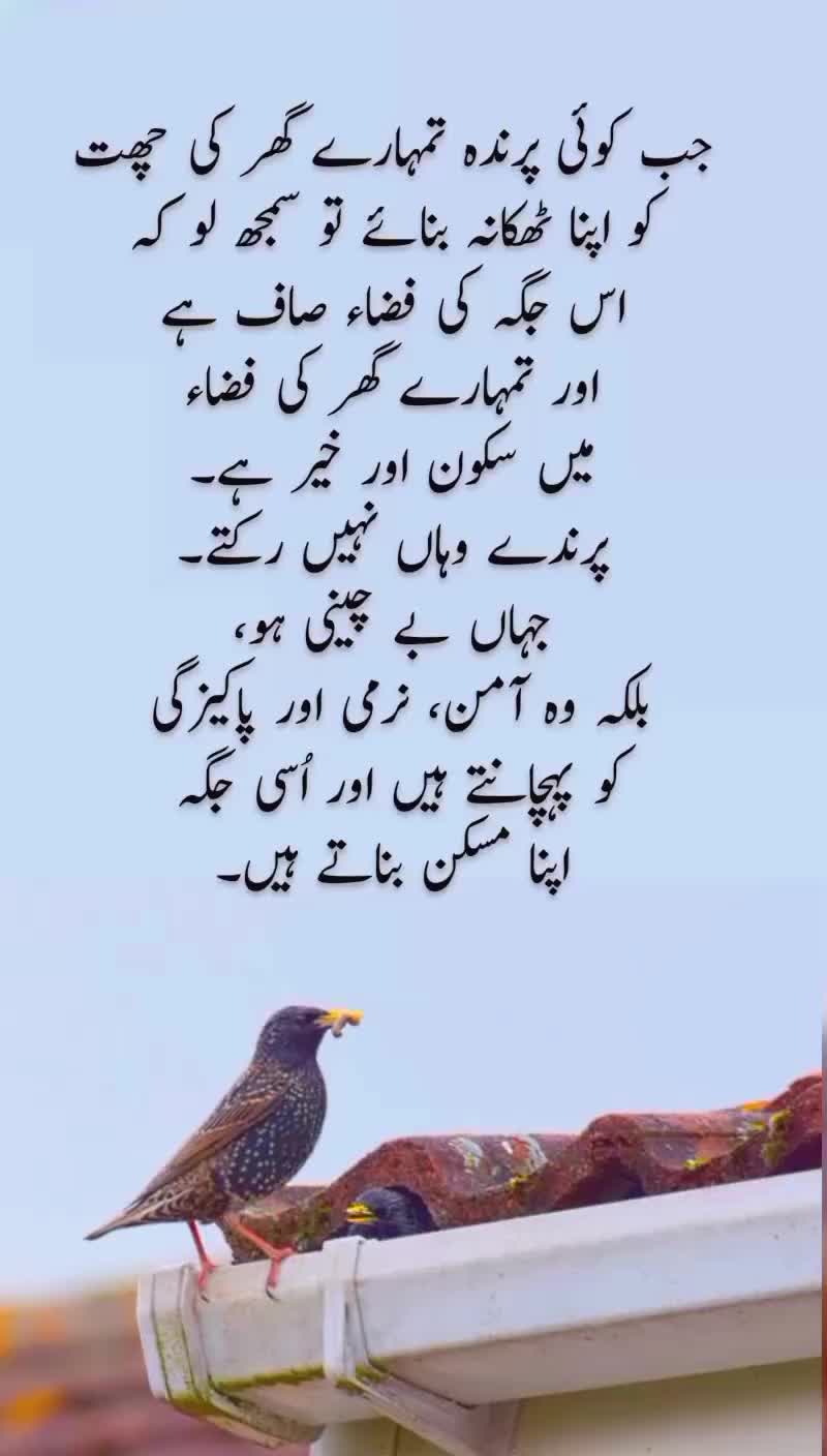 @Motivation Qoutes