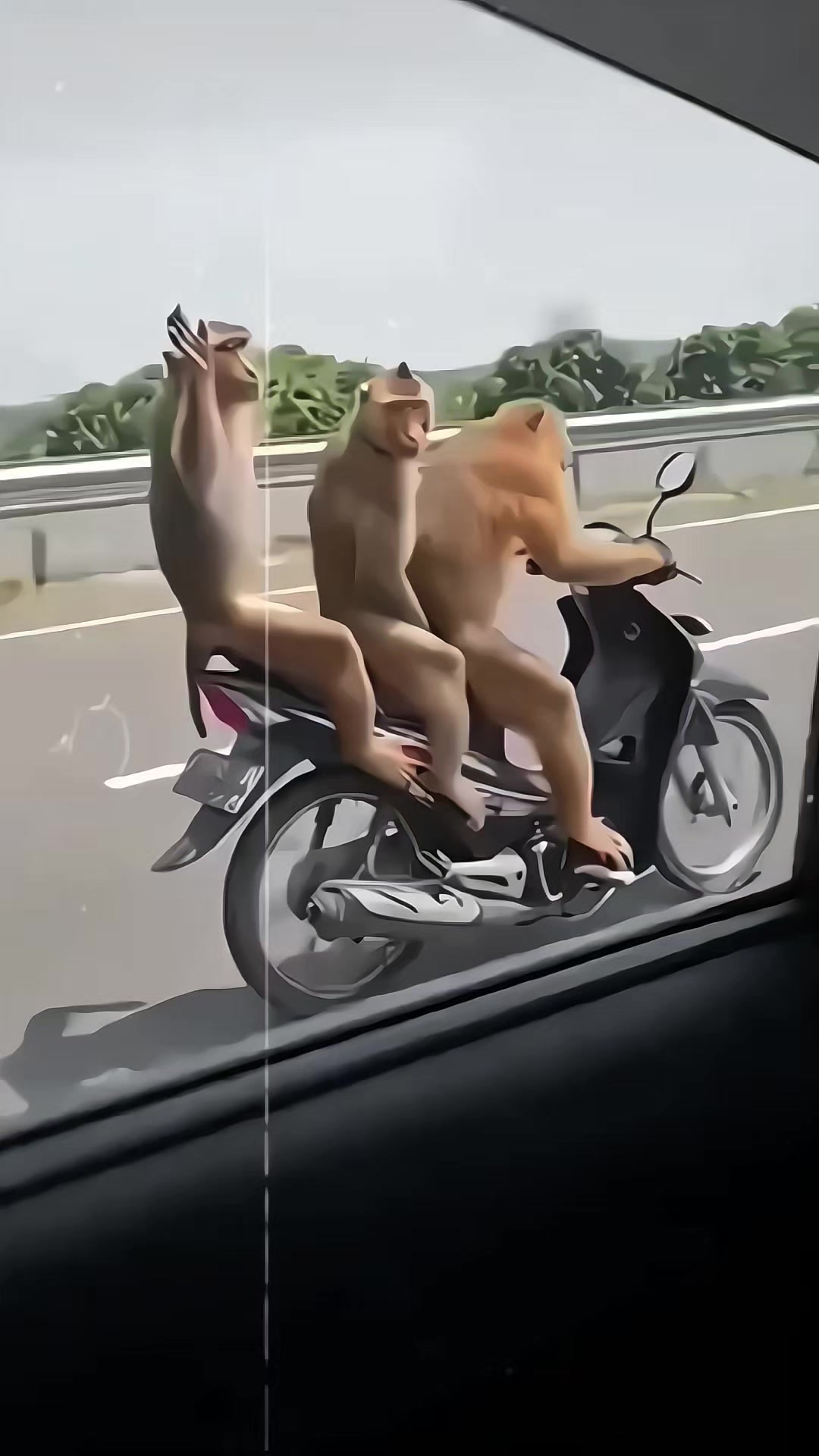 @𝐓𝐒𝐌&bull;𝐓𝐚𝐦𝐚𝐆𝐂𝐕