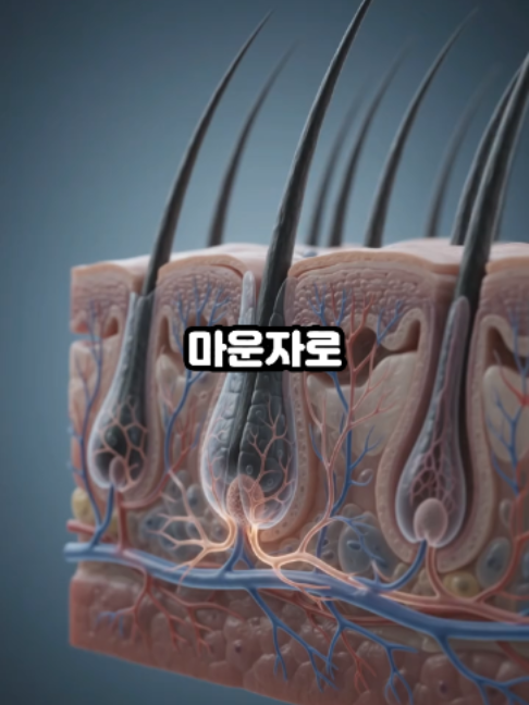 @견우한의원