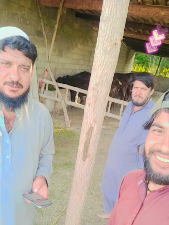 @⚔️🔥Ganda Bilal 🔥⚔️
