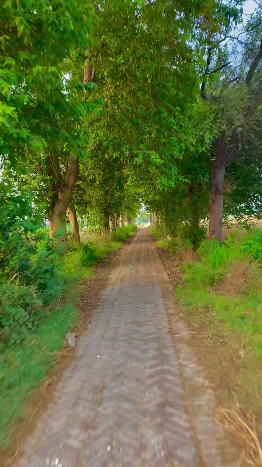 @ساڈاپنجاب🌾
