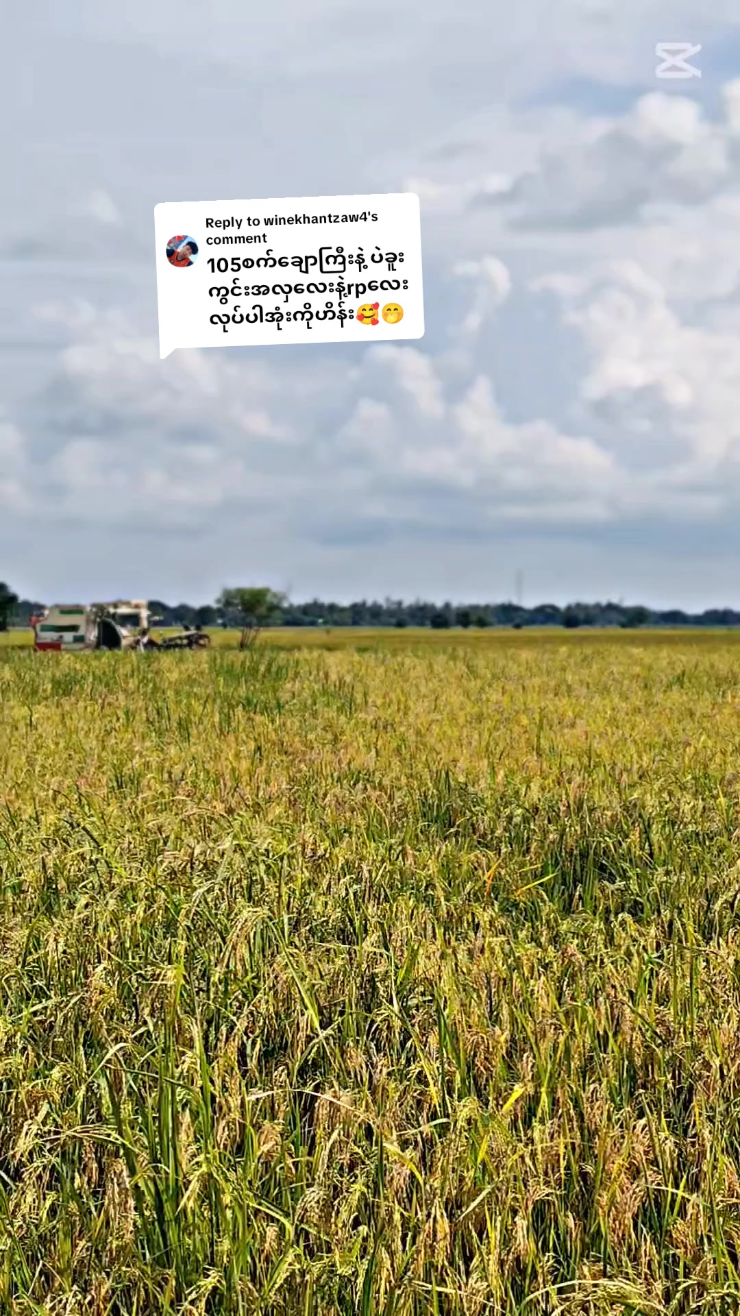 @ငဟိန်း🥀(Officialacc)🥀🍁
