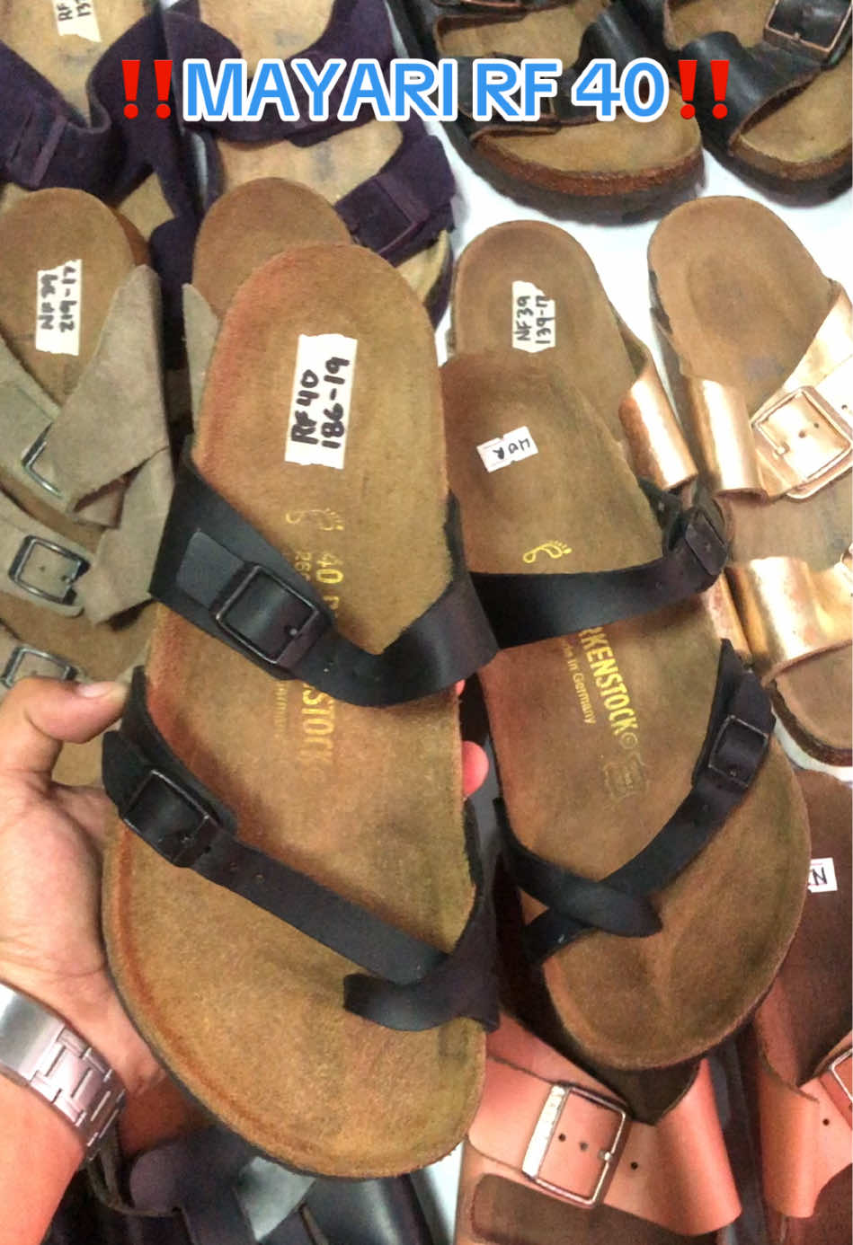 @DAILY BIRKS
