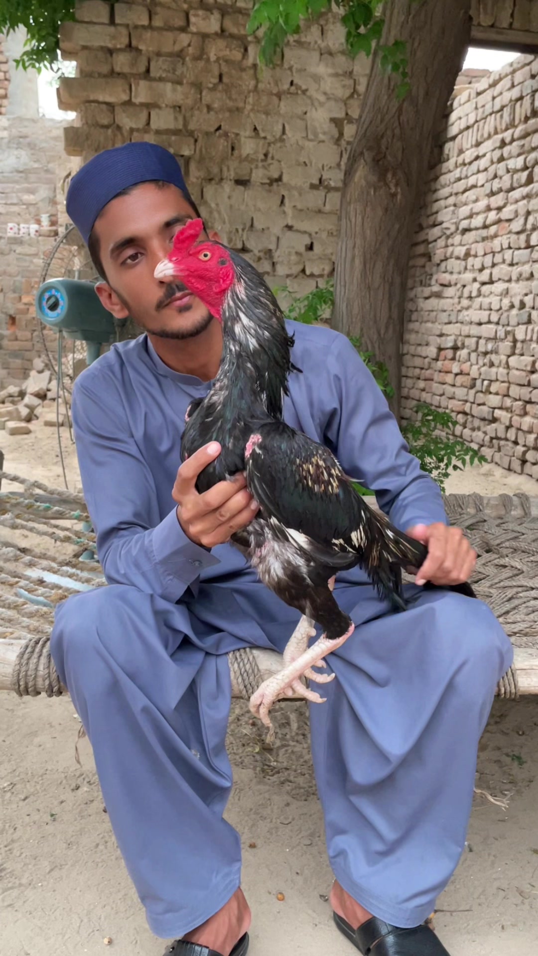 @Zohan Shah