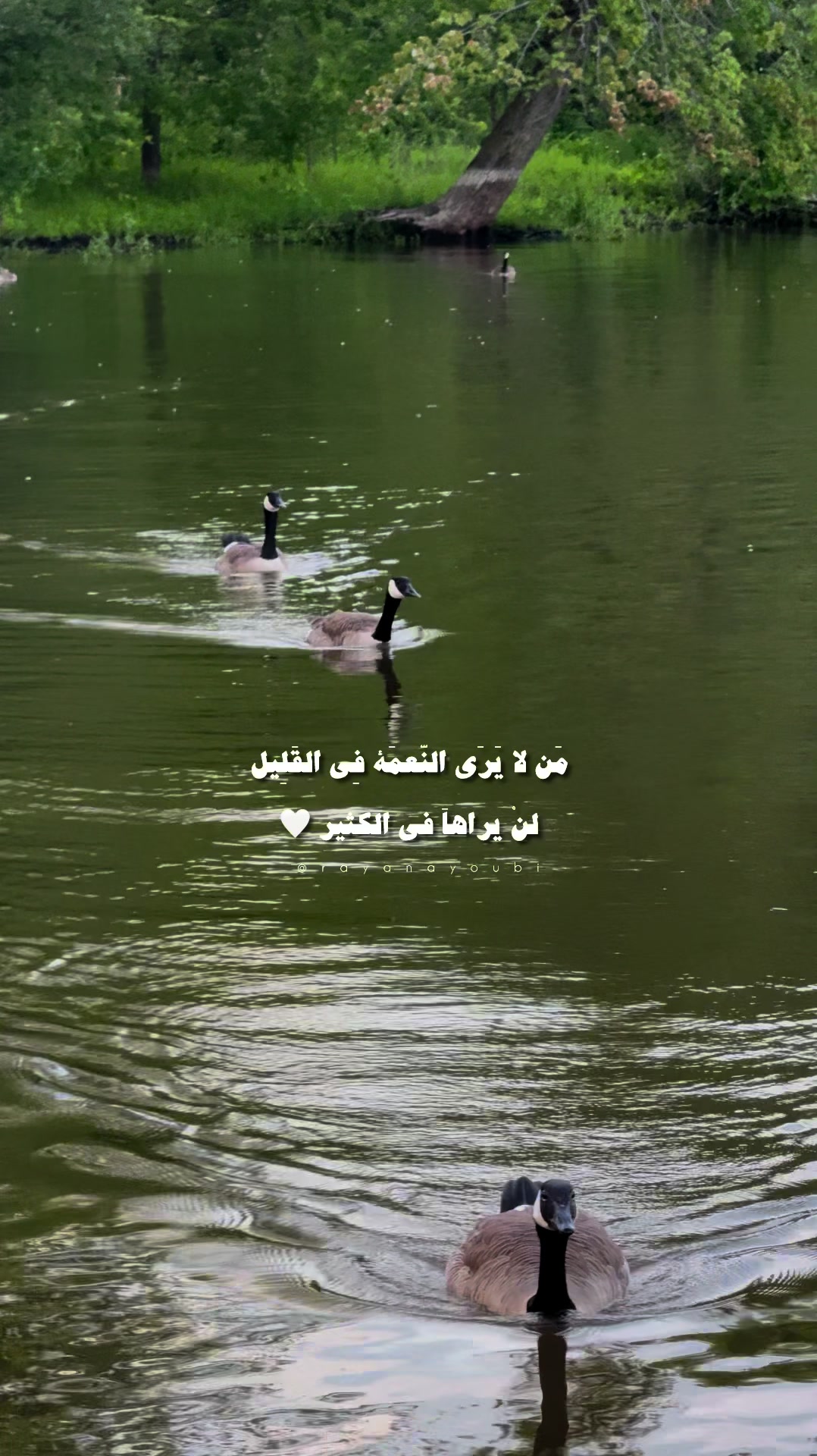 @Rayan El Ayoubi