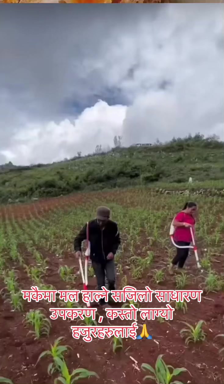 @kakani strawberry 🇳🇵🇳🇵