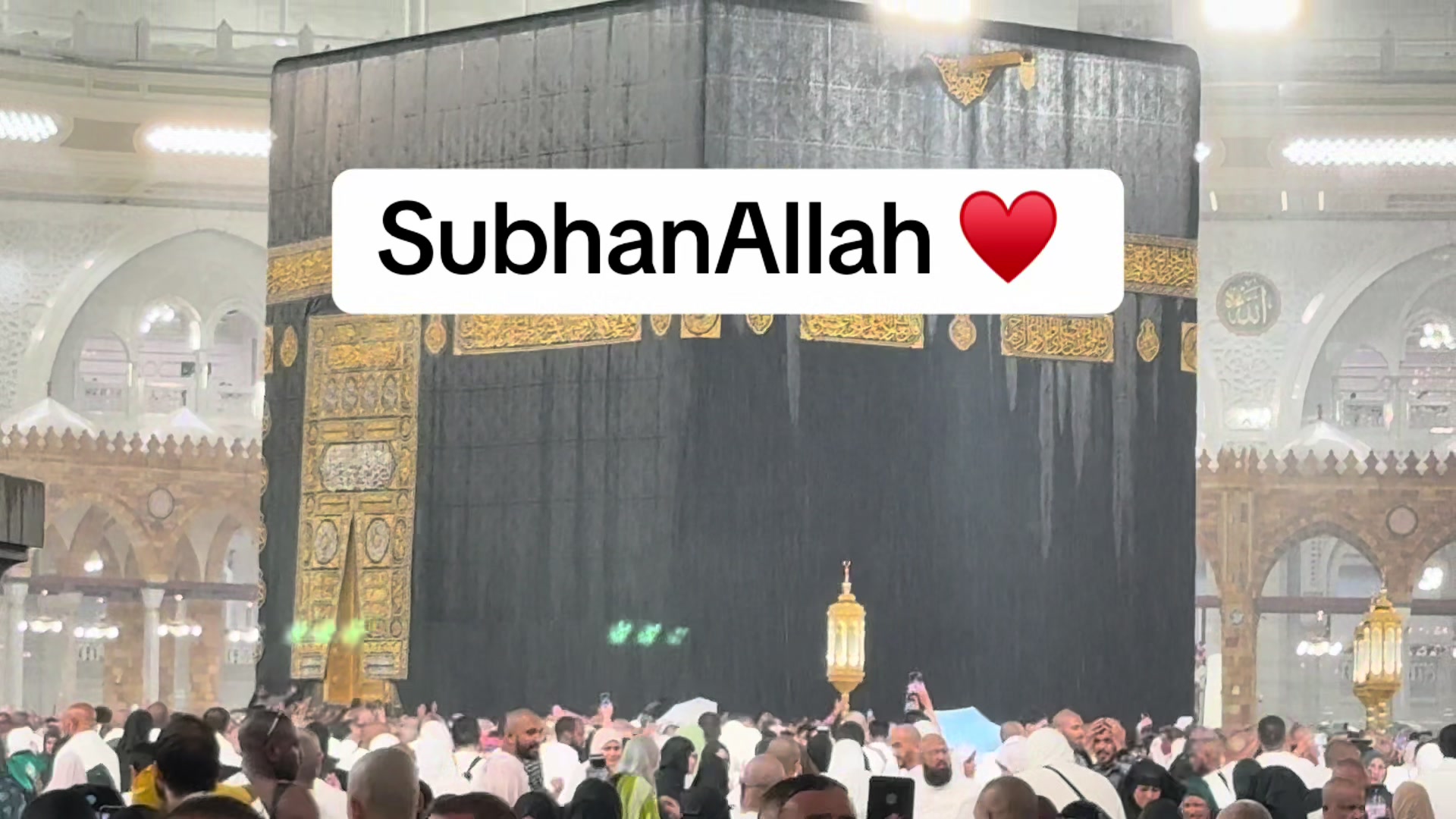 @malik_abrash_asif