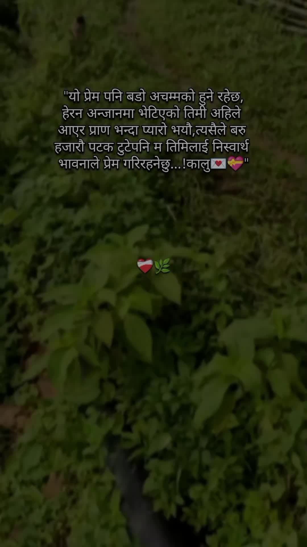 @ЁЭХМЁЭХБЁЭХОЁЭФ╕ЁЭХГтЭдя╕ПЁЯй╣ЁЯМ┐