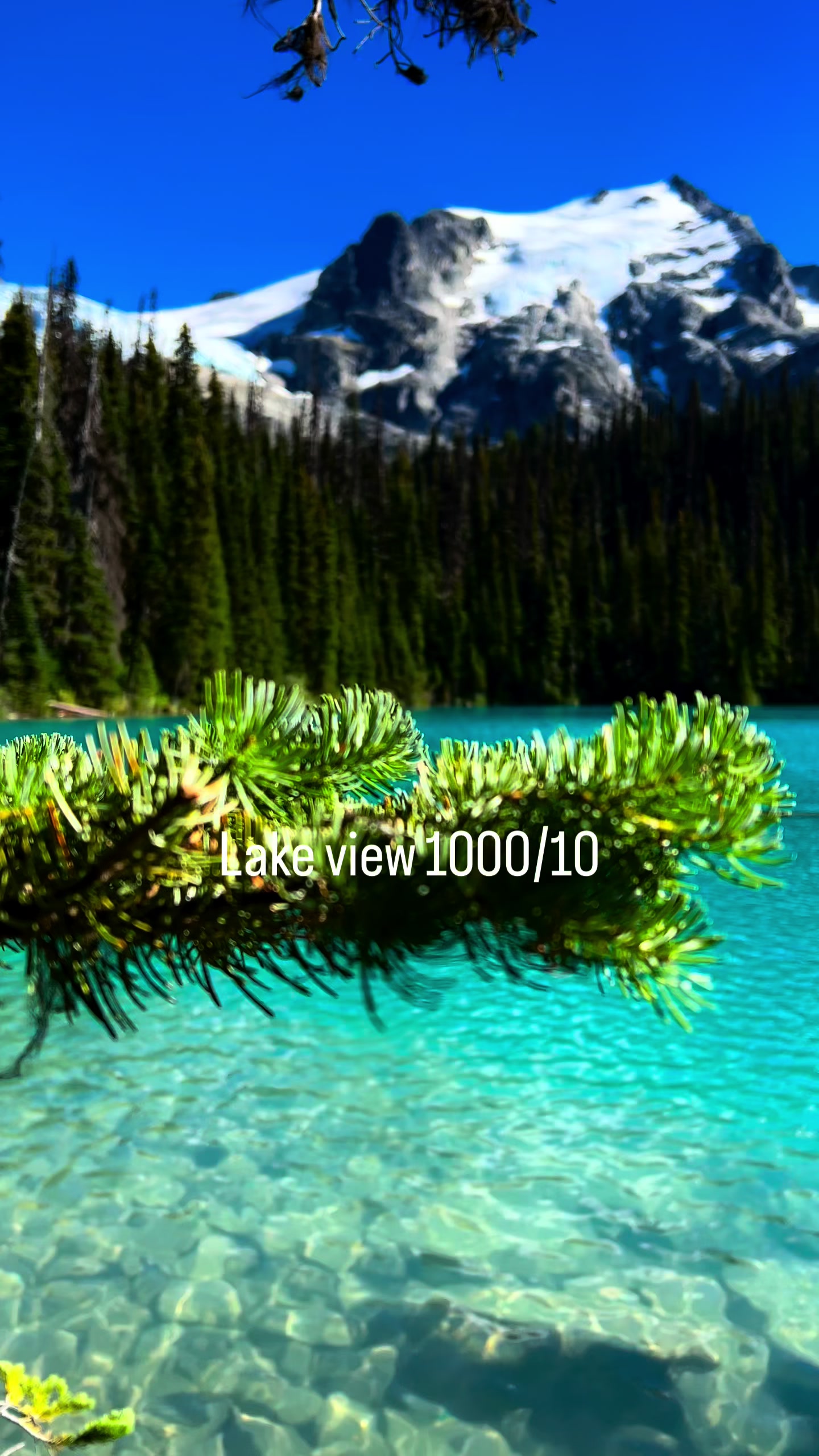 @Alex | USA • Canada • World