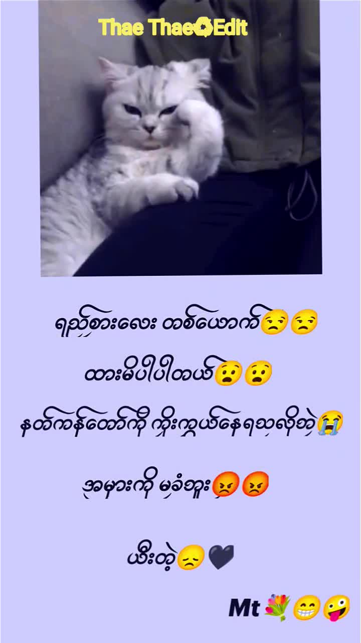 @๐๐๐๐๐ ๐๐๐๐๐