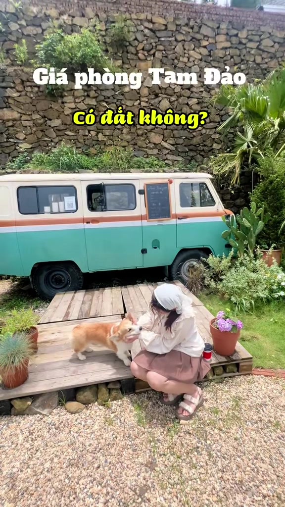 @Cùng Rùa đi Tam Đảo