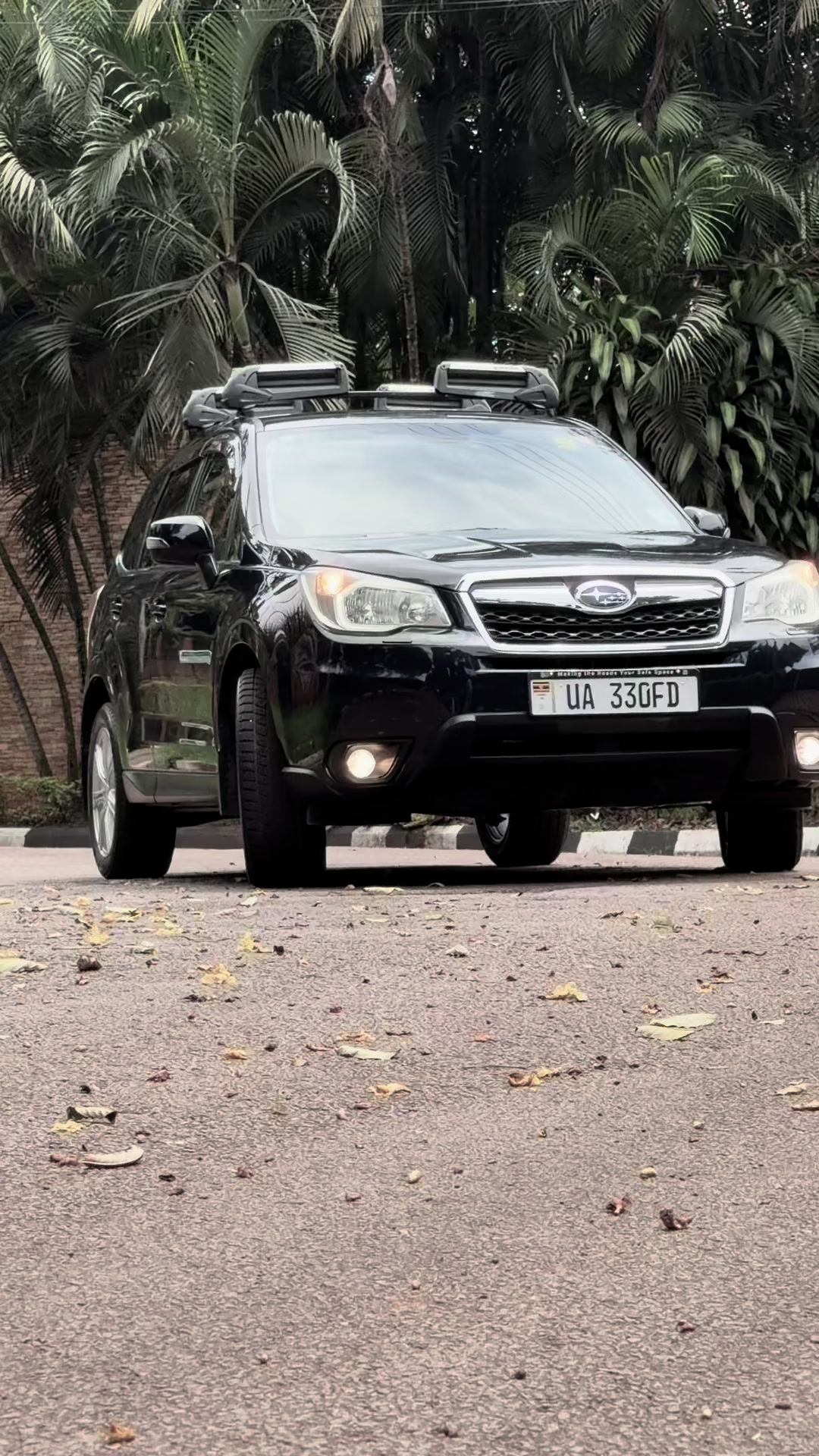 @Mesh autos