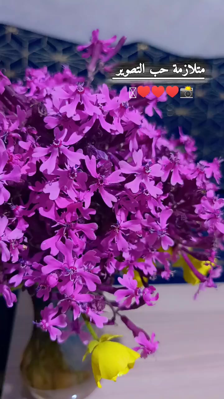 @بنت إدلب💚