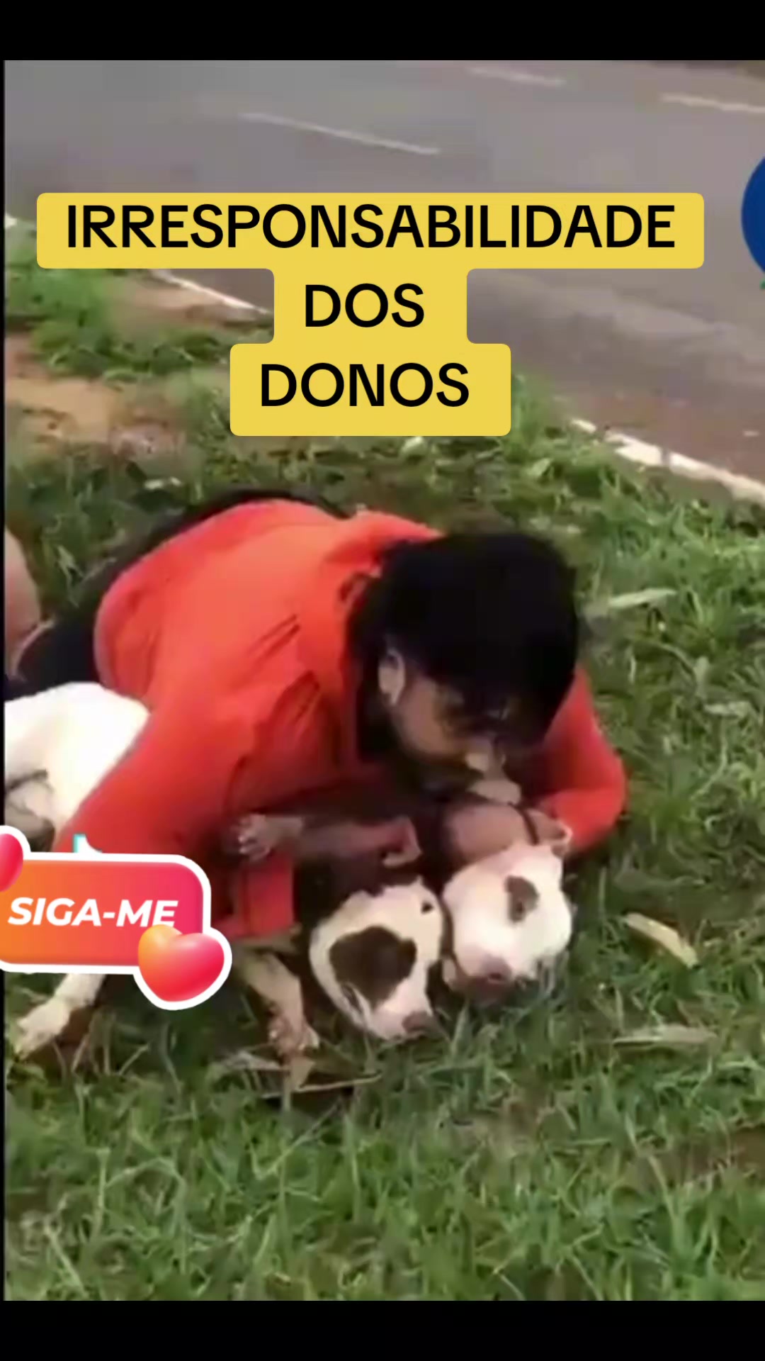 @cachorro de pobre